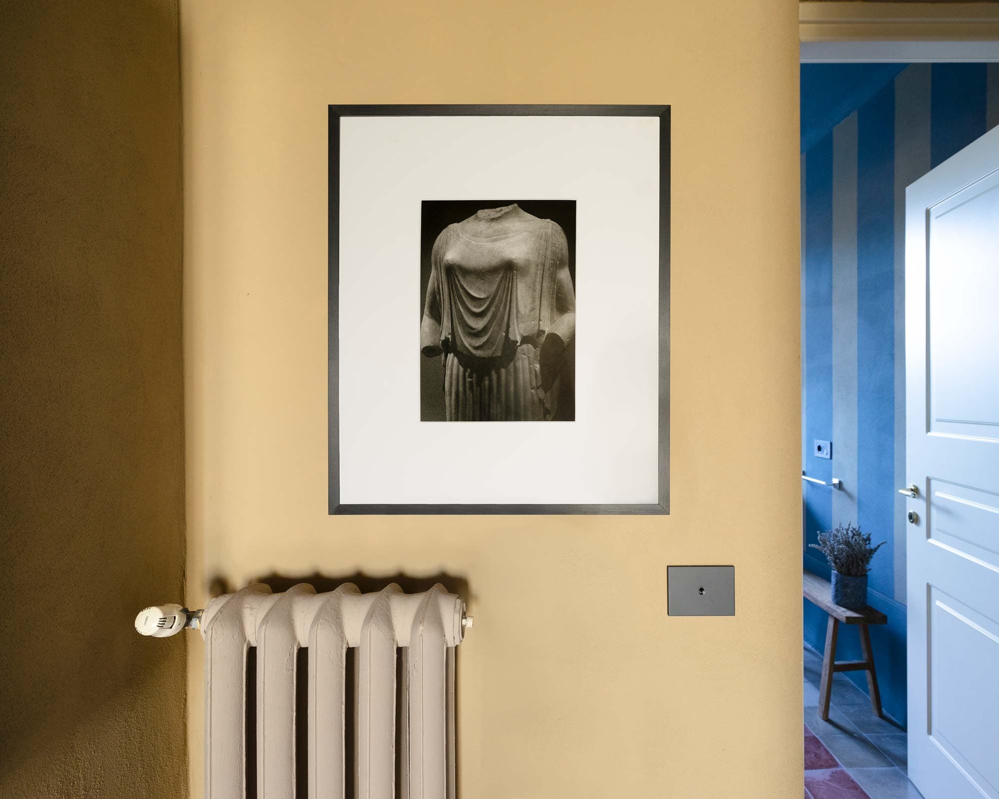 vigne di fagnano la bella estate foto bianco nero