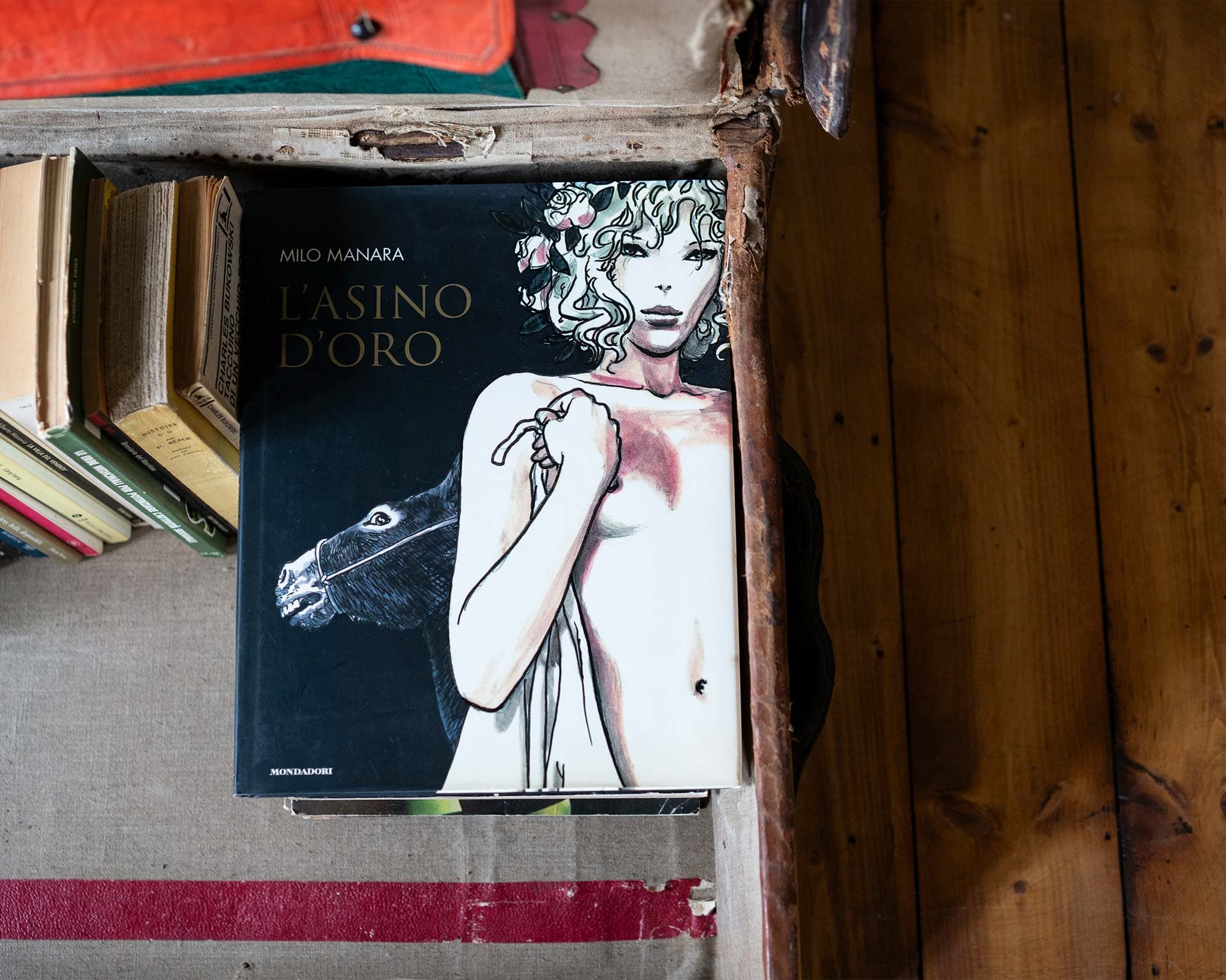 vigne di fagnano la luna e i falo libreria personalizzata milo manara