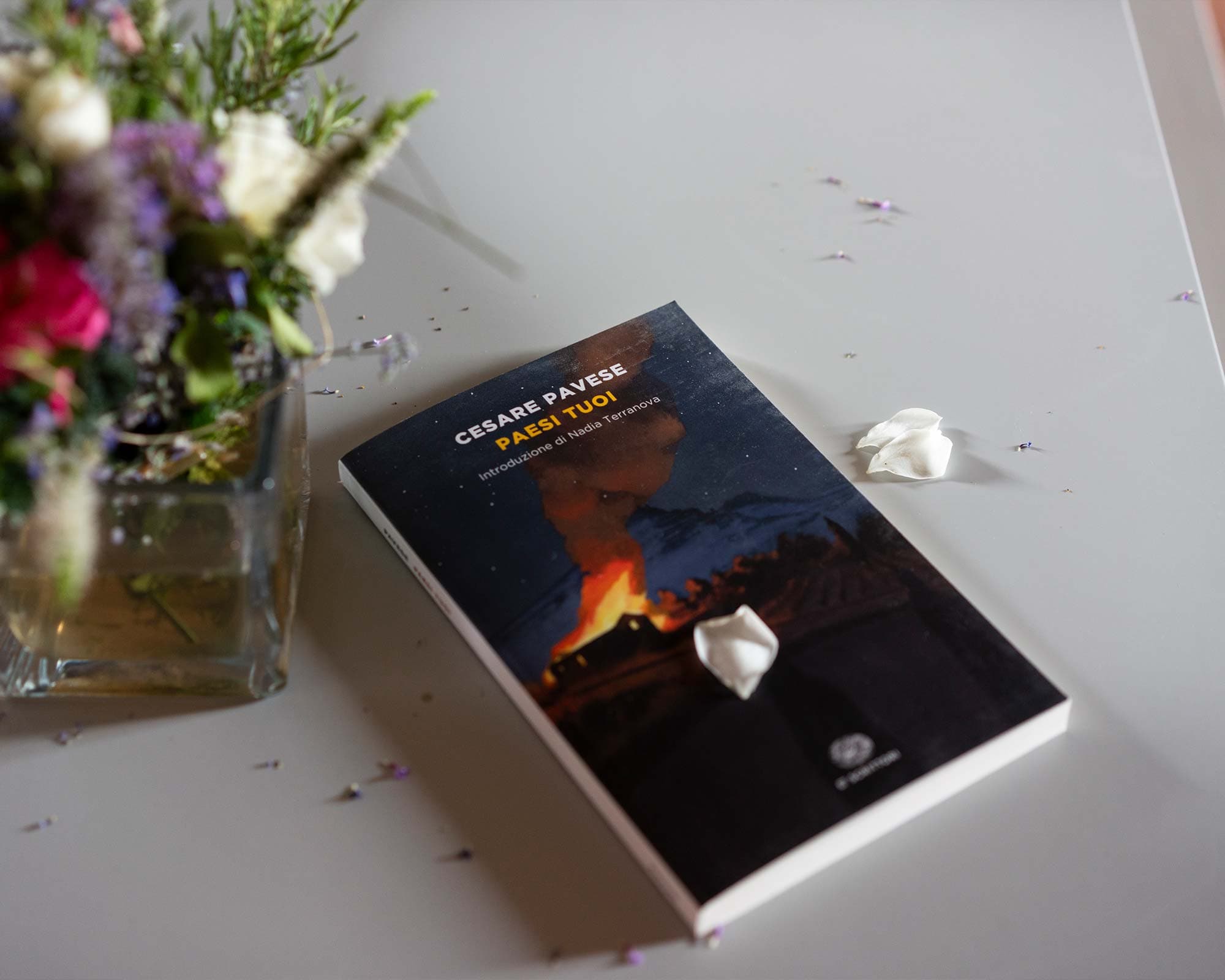 vigne di fagnano libro cesare pavese paesi tuoi