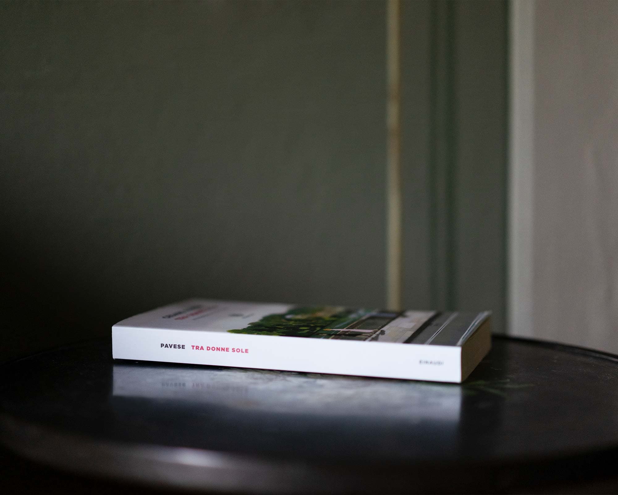 vigne di fagnano libro cesare pavese tra donne sole