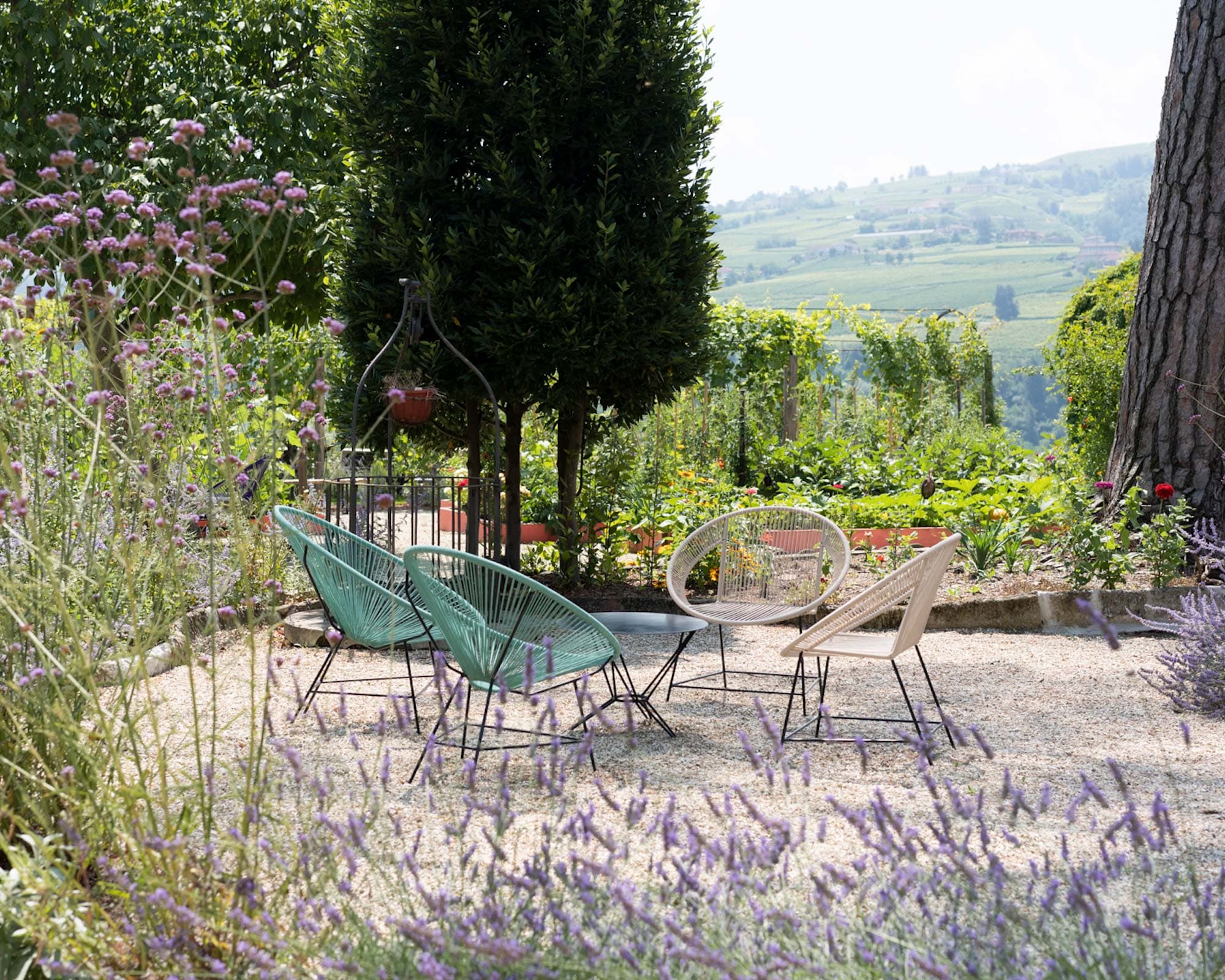 vigne di fagnano cortile vista langhe