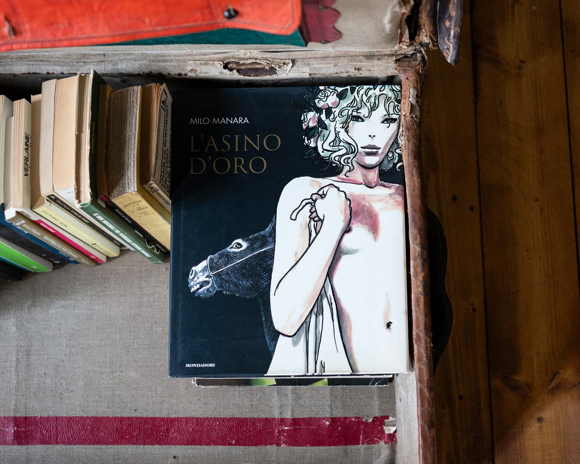 vigne di fagnano la luna e i falo libreria personalizzata milo manara