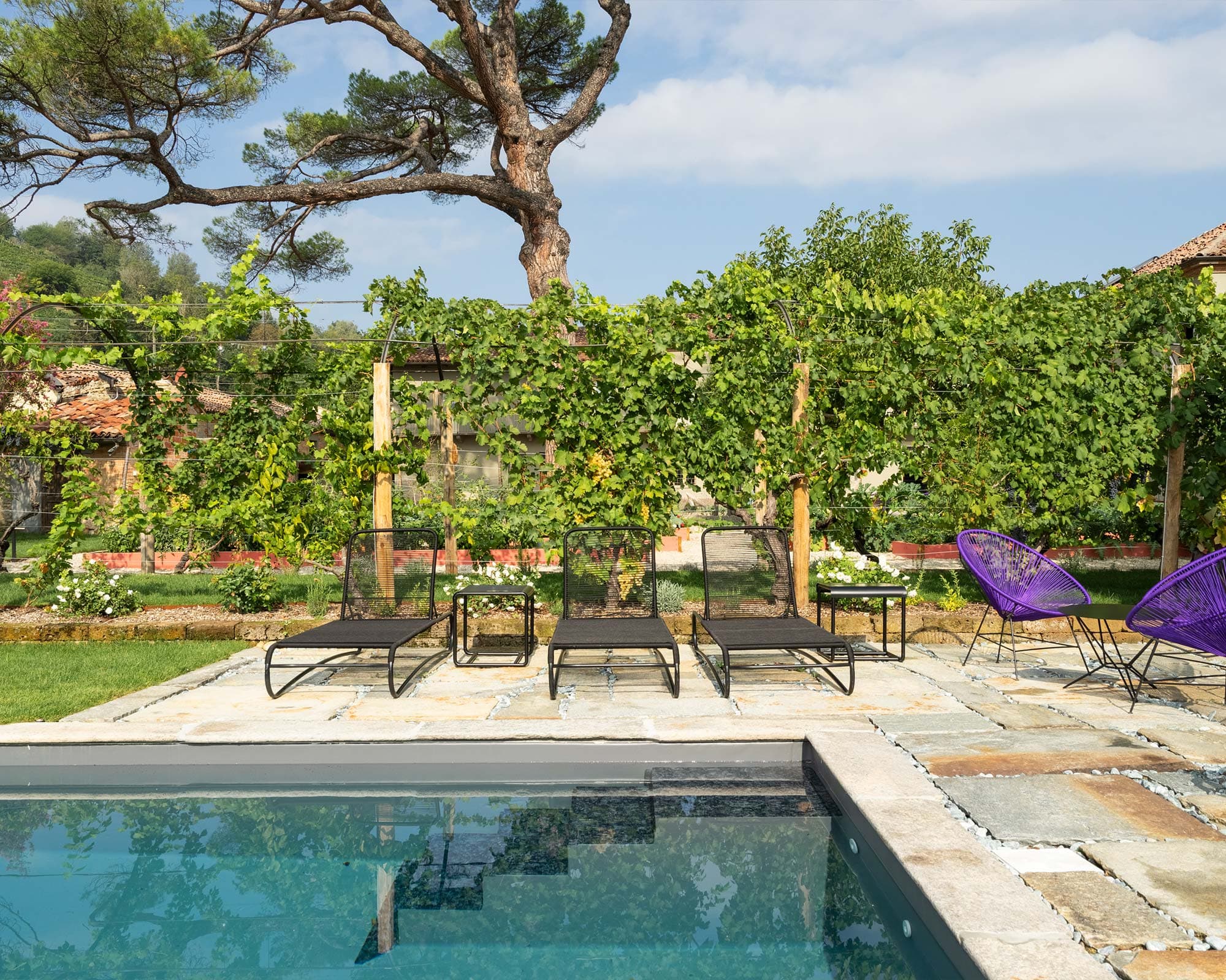 vigne di fagnano piscina e pino secolare