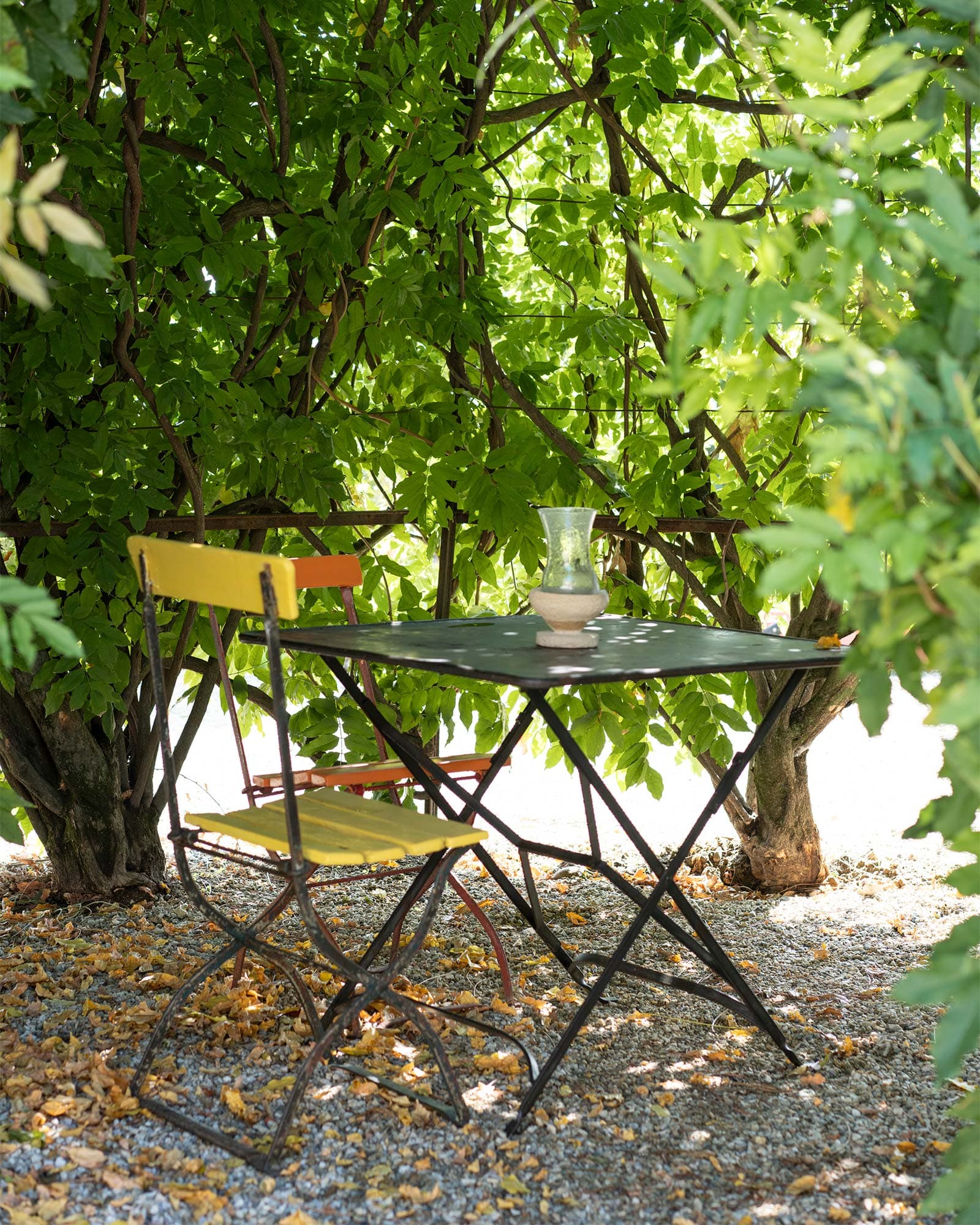 vigne di fagnano tavolo esterni sotto albero