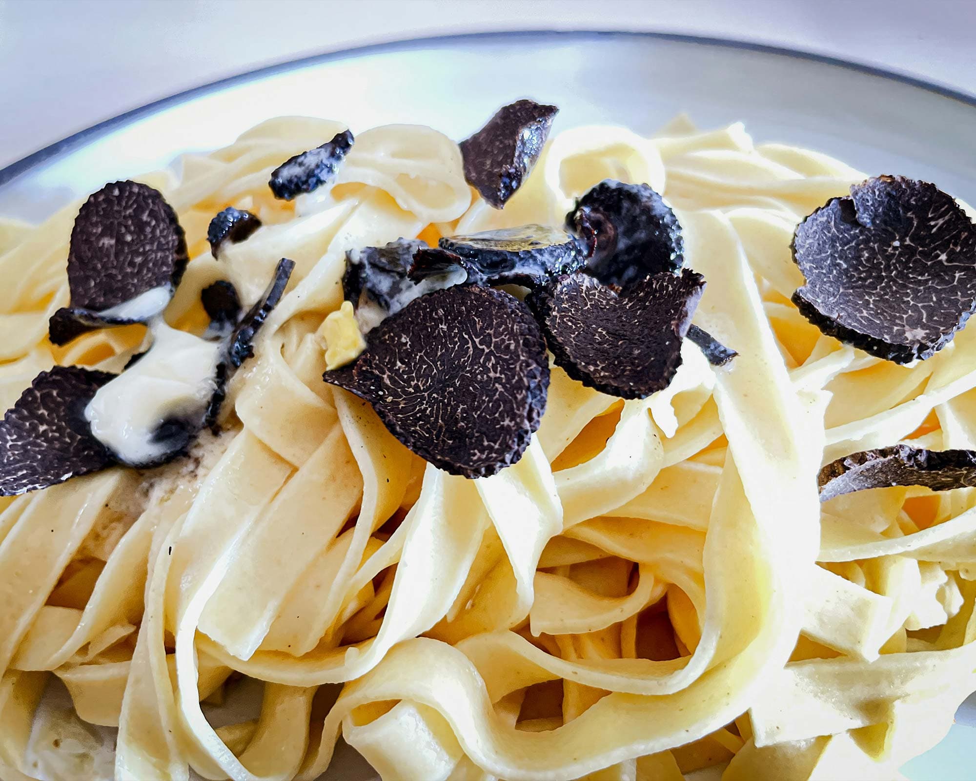 vigne di fagnano caccia tartufo degustazione tartufo