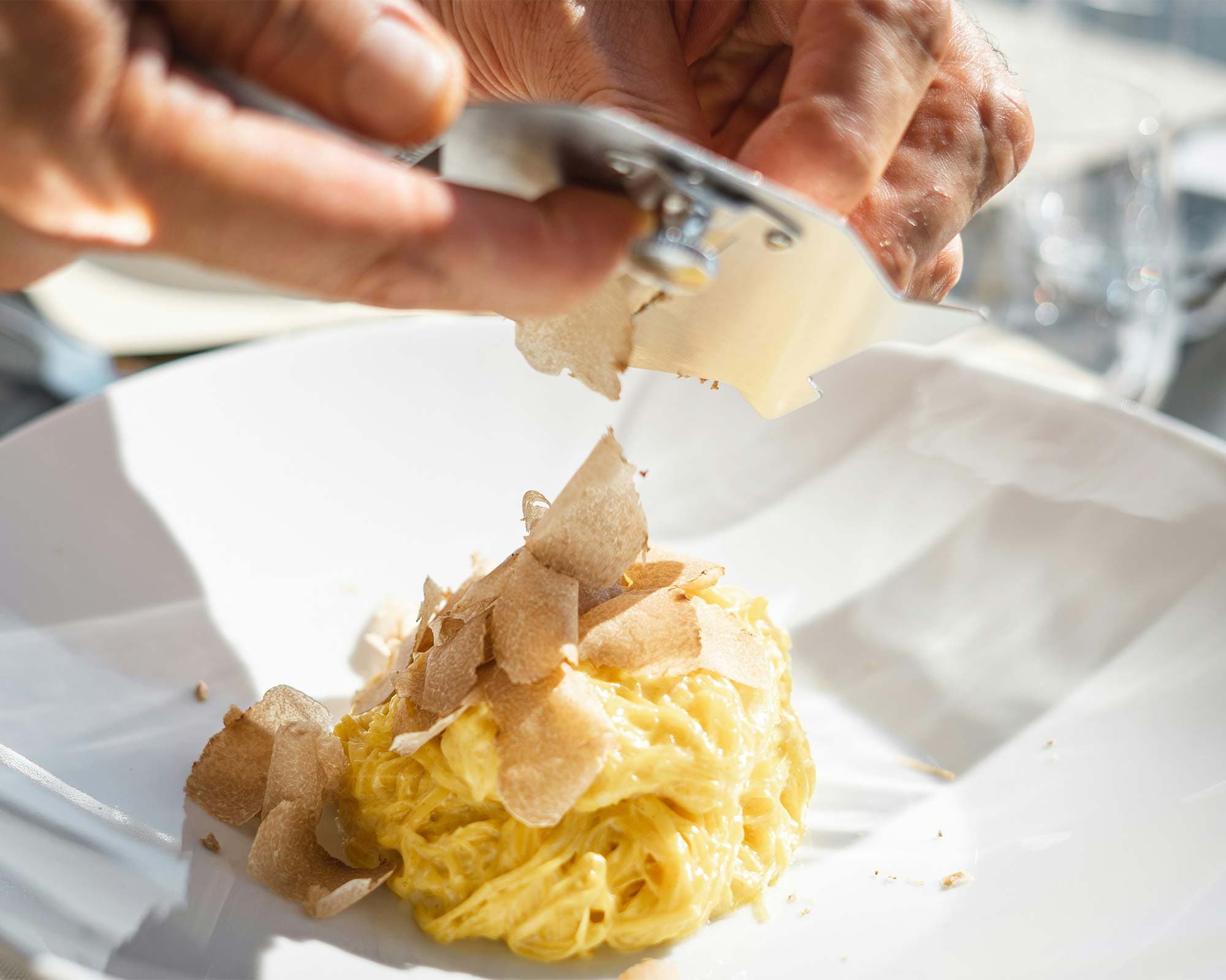 vigne di fagnano caccia tartufo pasta con tartufo