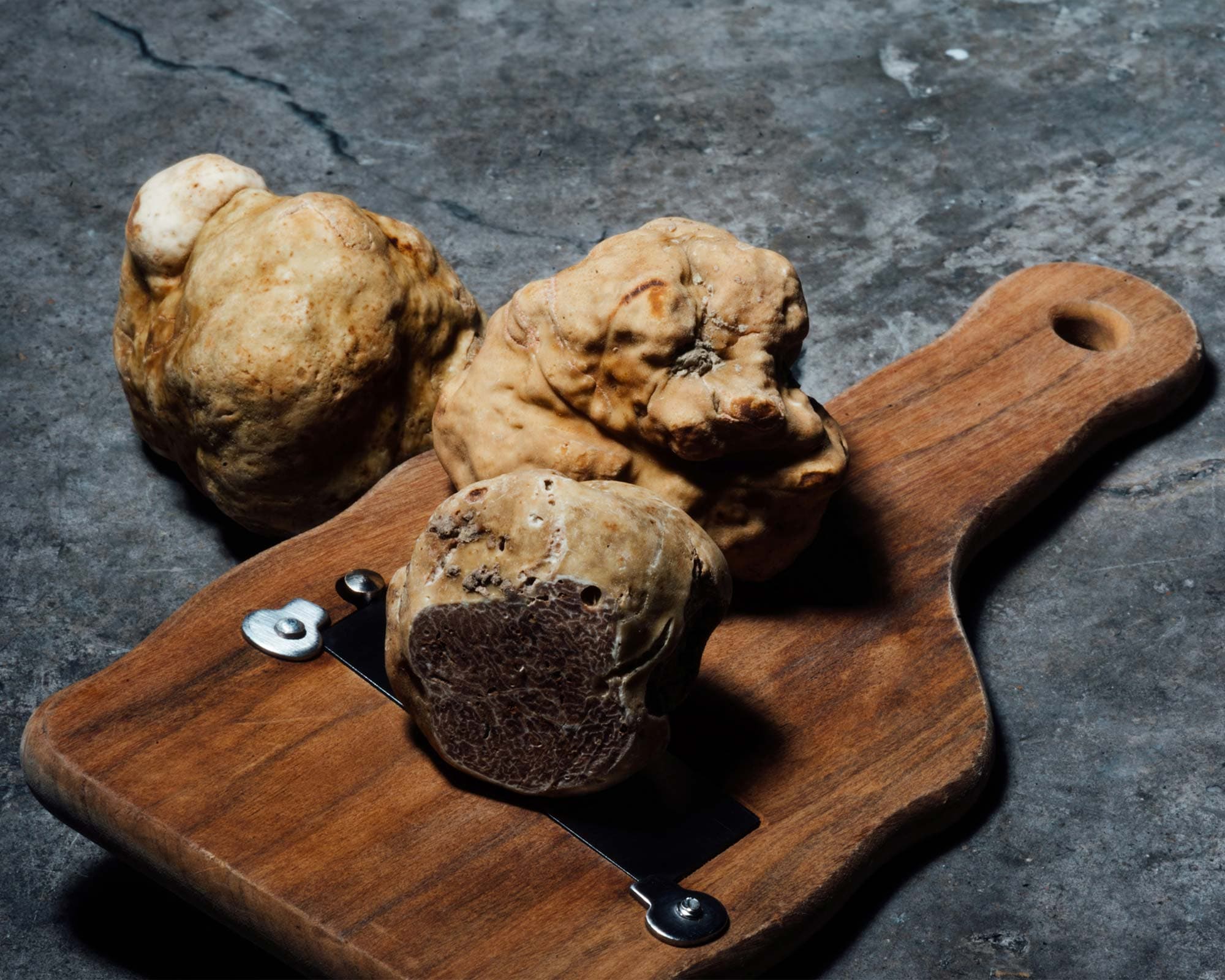 vigne di fagnano caccia tartufo tagliere con tartufo