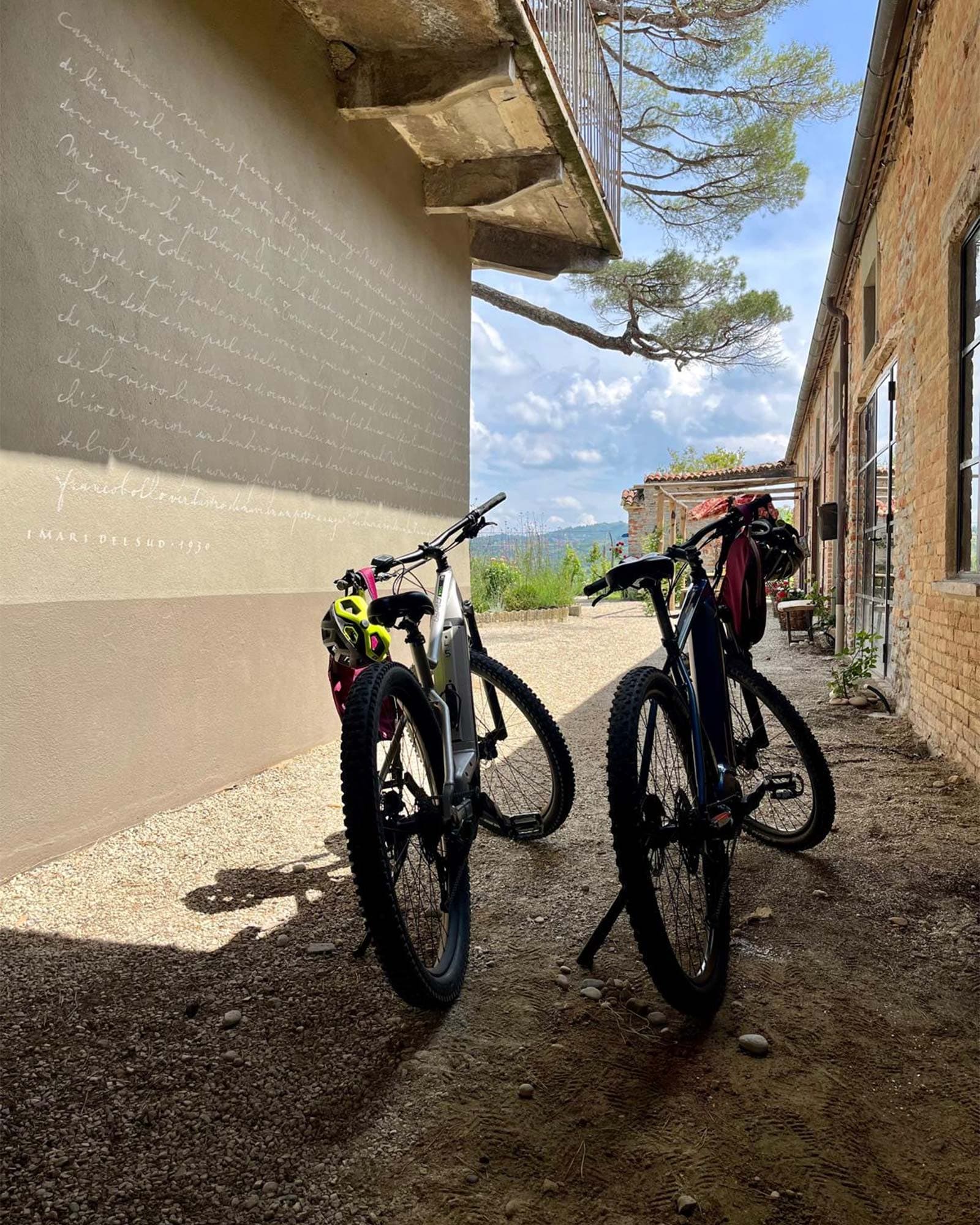 vigne di fagnano noleggio bike mtb biciclette langhe