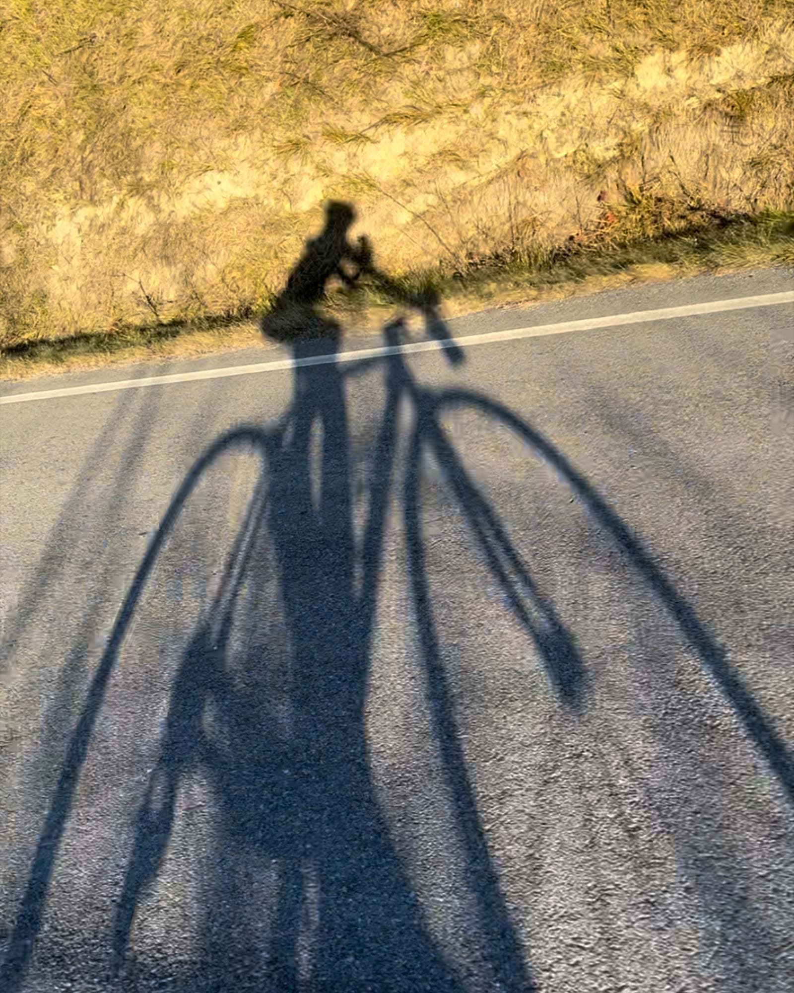 vigne di fagnano noleggio bike mtb ombra langhe