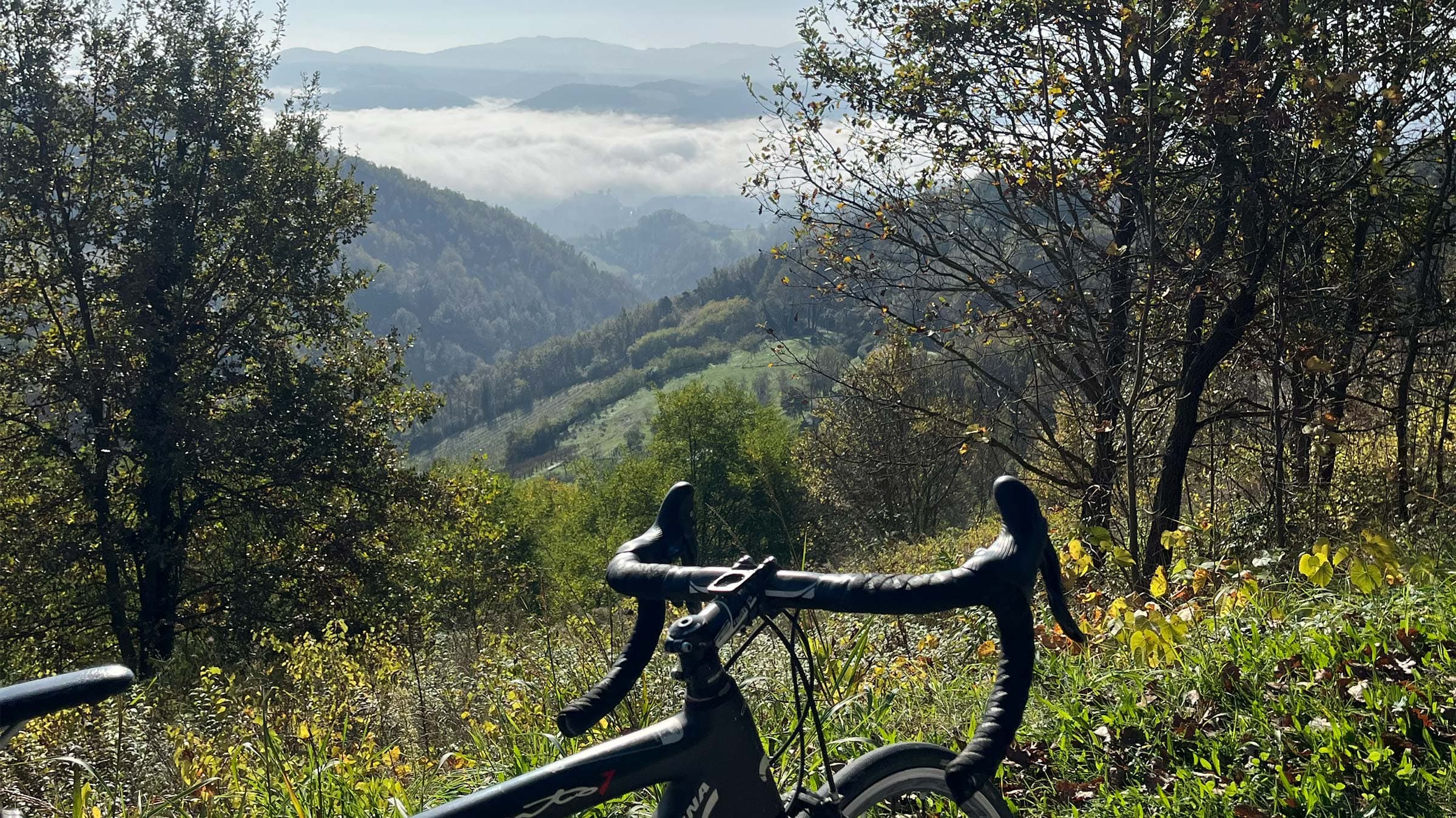vigne di fagnano noleggio bike mtb vista langhe