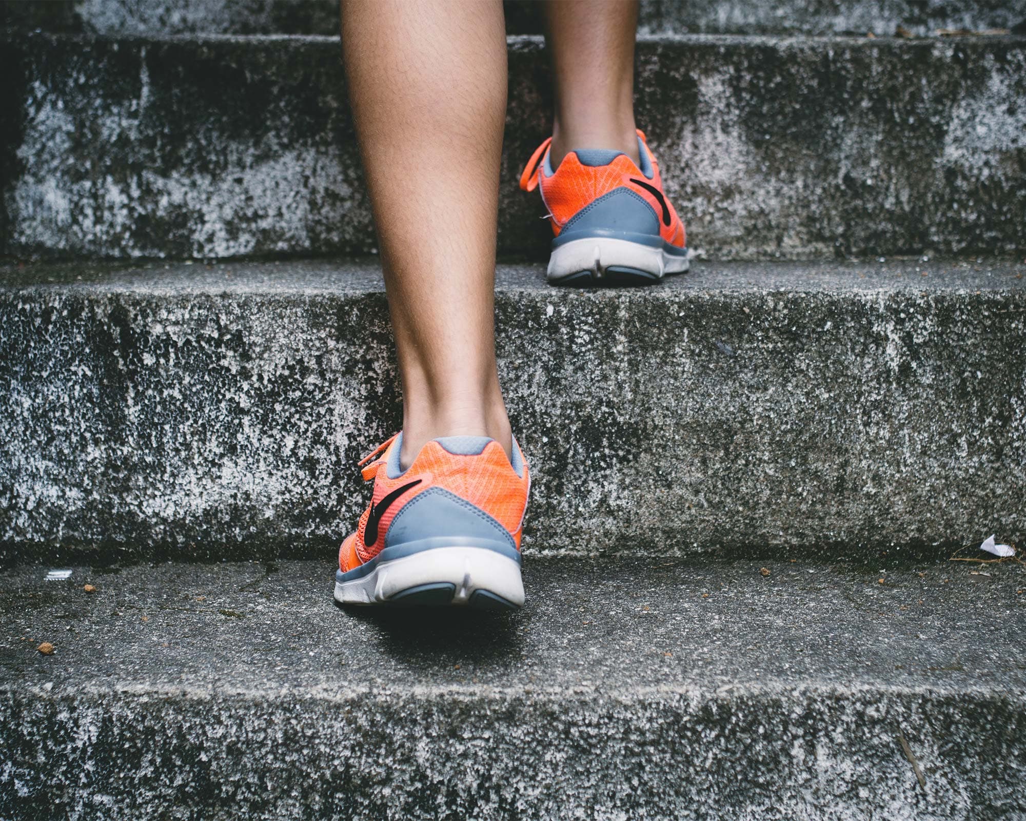 vigne di fagnano noleggio bike passeggiata langhe
