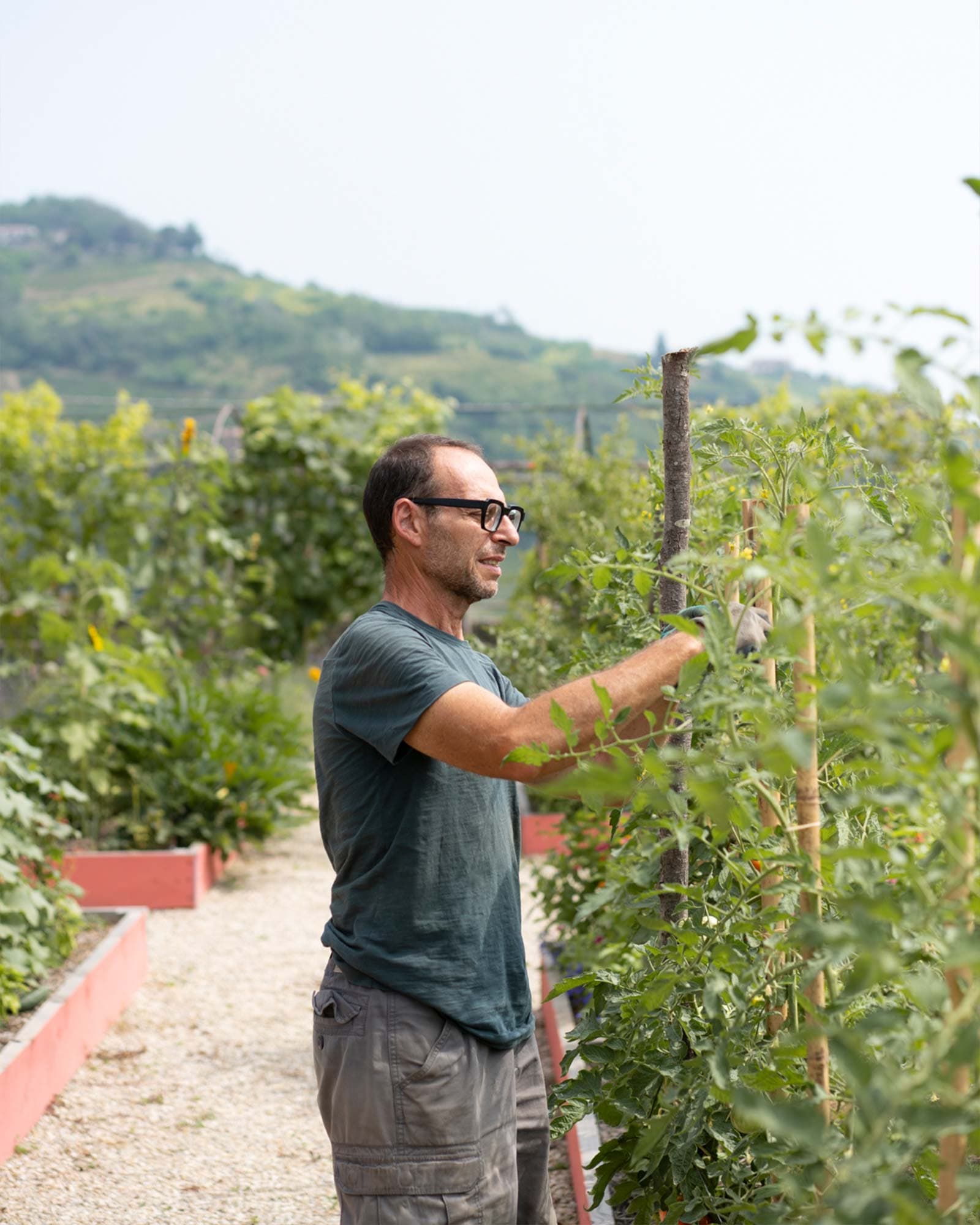 vigne di fagnano personal chef cooking class percorso in orto