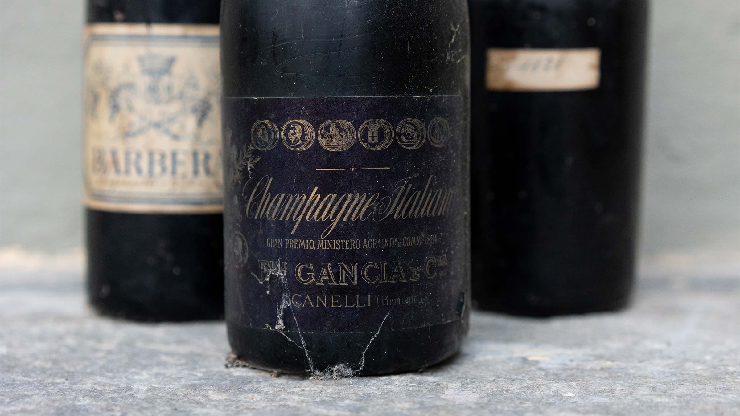 vigne di fagnano vini cantine storiche di langa