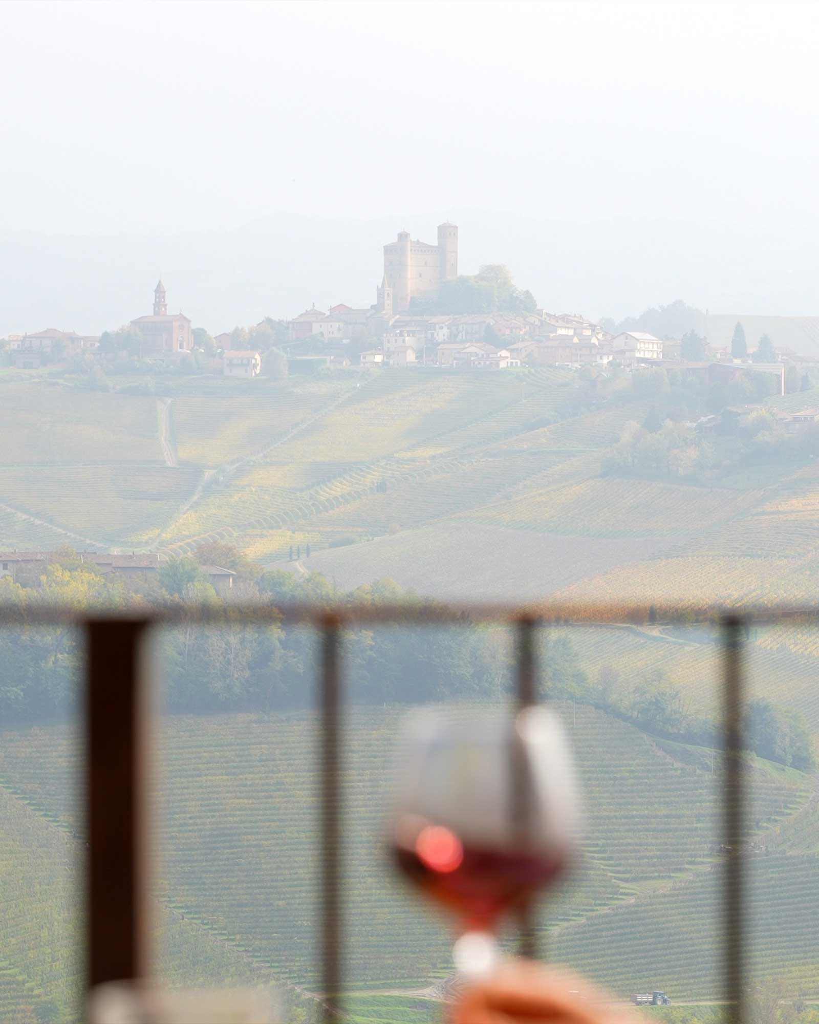 vigne di fagnano tour enologico con sommelier castello di serralunga panorama langhe patrimonio unesco