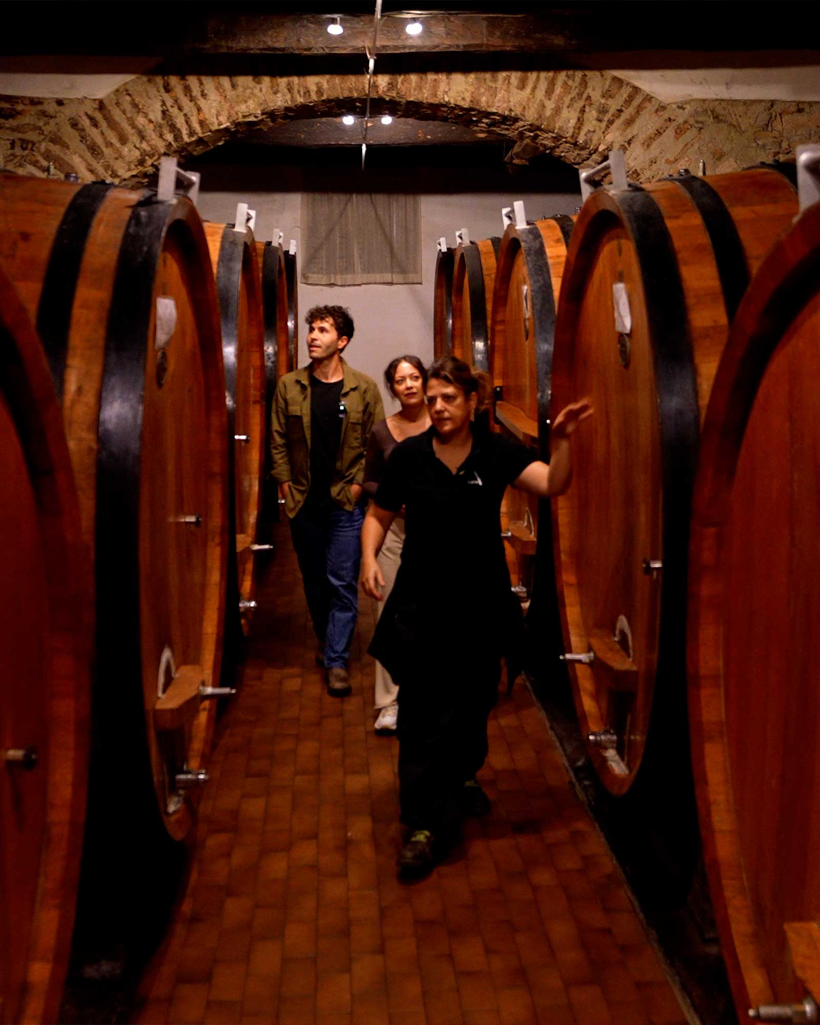 vigne di fagnano tour enologico con sommelier degustazione e visita in cantina langhe patrimonio unesco